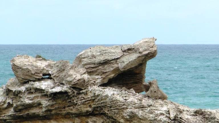 Frog Rock
